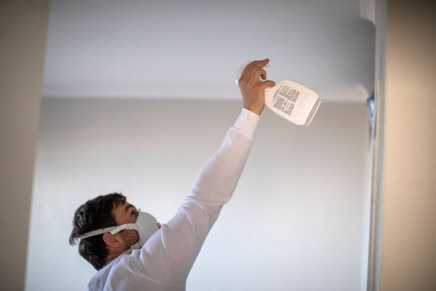 Best Same-Day Mold Removal  in Loretto, PA